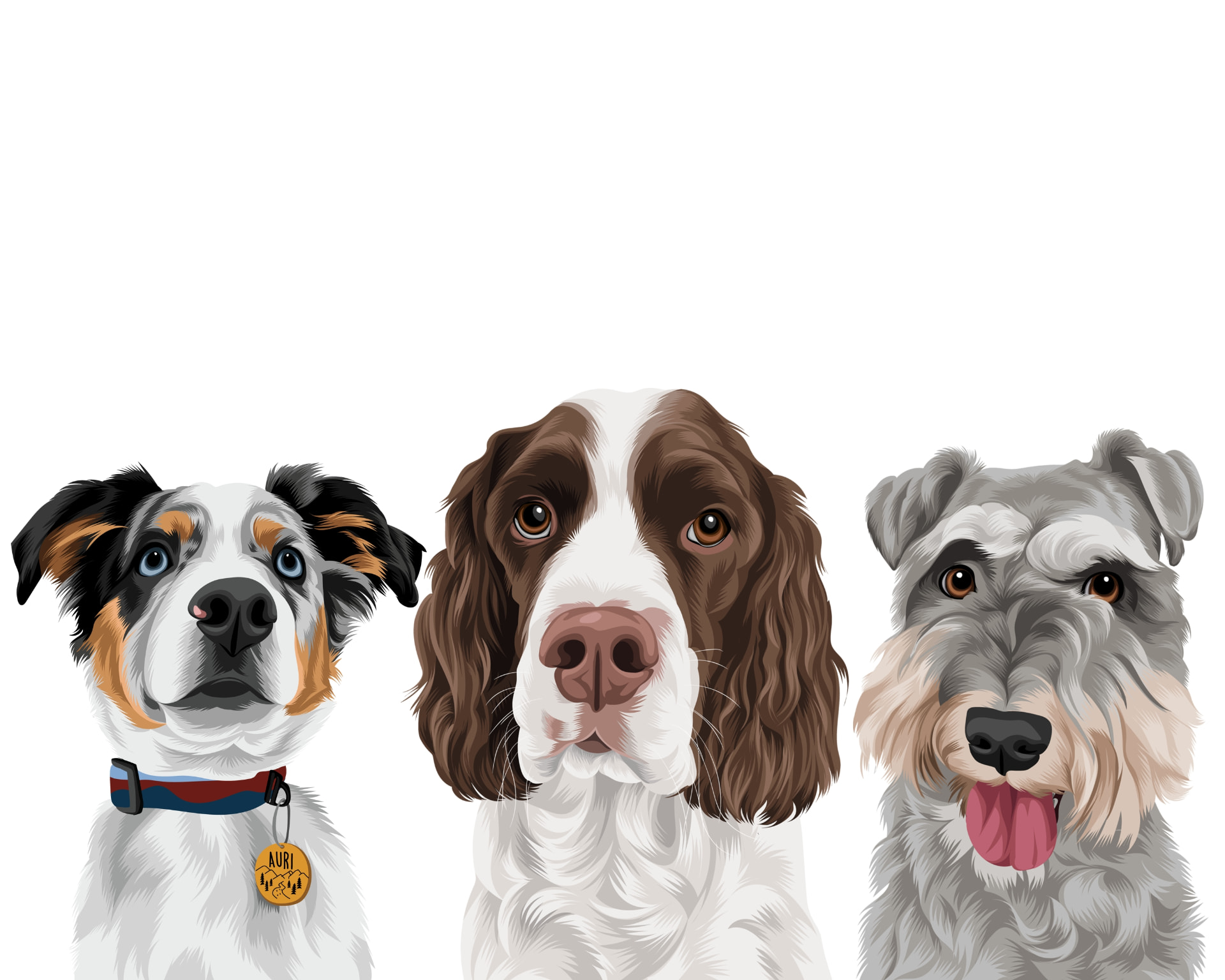 Illustration of three pets