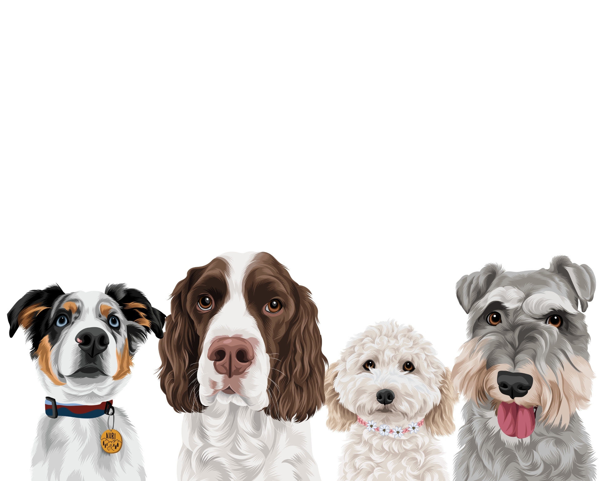 Illustration of four pets