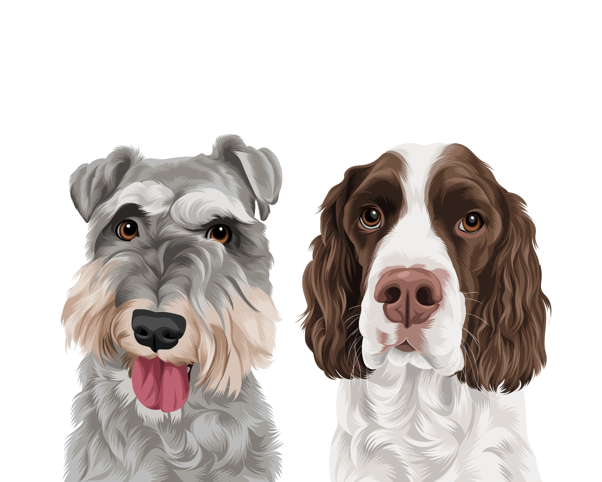 Illustration of two pets