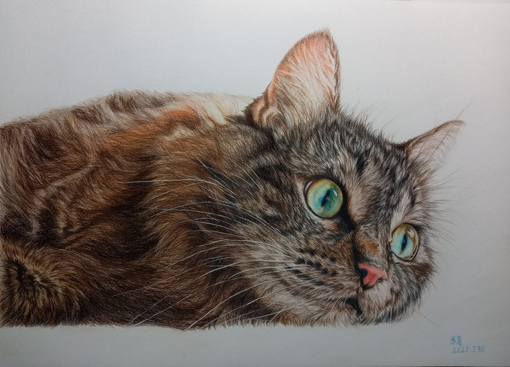 320 | 365-Days of Color: Cat Sketch — Lauren Elizabeth Animal Art